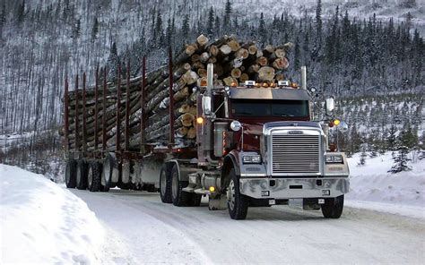 Freightliner And Background Cascadia Hd Wallpaper Pxfuel