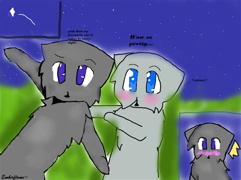 Dovewing and Bumblestripe stargazing by EmberFlamewarrior on DeviantArt