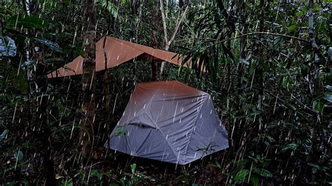 2 Hari Solo Camping Di Hutan Hujan Sepanjang Hari Dan Cuaca Dingin