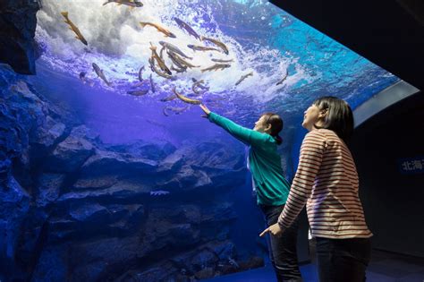 北の大地の水族館（山の水族館）｜観光スポット｜【公式】北海道の観光・旅行情報サイト Hokkaido Love