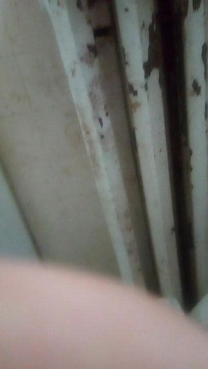 Goddess Strengthly Giantess Free Femdom Queening HD Porn Db XHamster