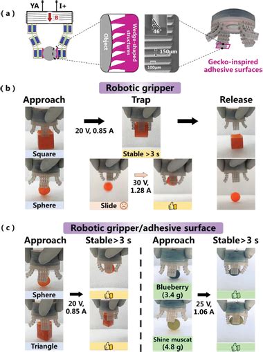 Application case 2: a shape‐adaptive robot gripper. a) Scheme of the ...