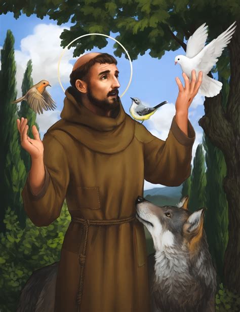 St Francis Assisi Hd Image Wallpaper Nelson Mcbs