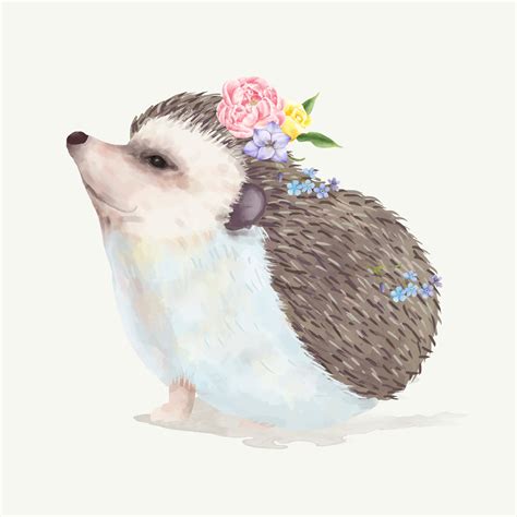 Illustration of a baby hedgehog - Download Free Vectors, Clipart Graphics & Vector Art