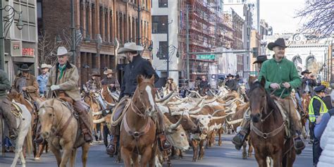 National Western Stock Show Parade | RTD-Denver