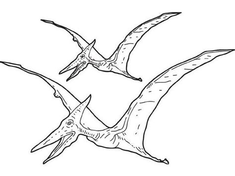 Pteranodon Coloring Page At GetColorings Free Printable Colorings