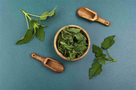 Эффективные средства с крапивой для кожи и волос