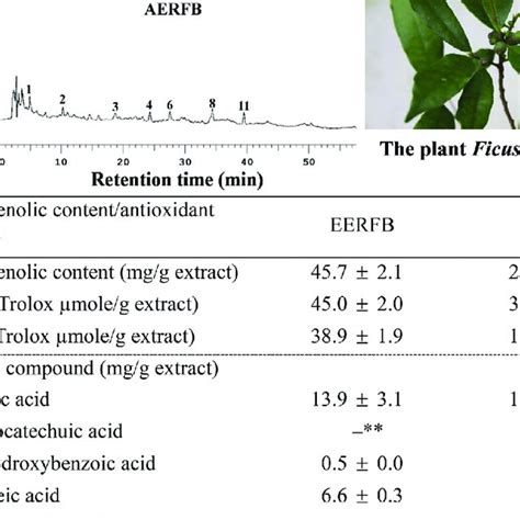 E Total Phenolic Contents Antioxidant Activities And Contents Of