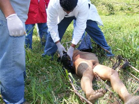 Naked And Beheaded Woman Was Found On River Bank Gorecenter