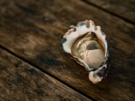 The Functional Naturopath 