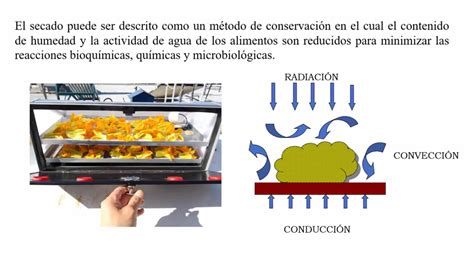 La Deshidrataci N Solar De Alimentos Alternativa Viable Y Sustentable