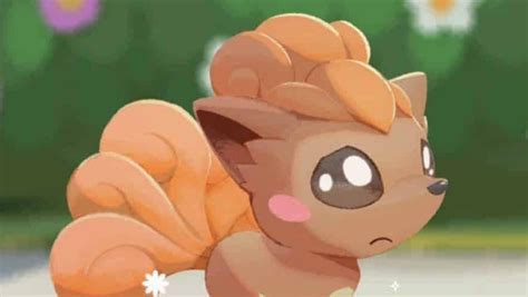 Ya Disponibles Los Nuevos Eventos De Vulpix Y Zorua De Hisui En Pokémon