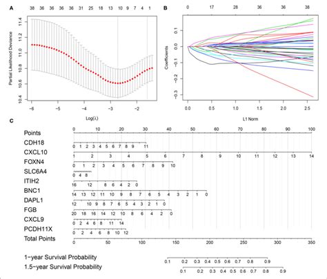 Gene Selection Via The Least Absolute Shrinkage And Selection