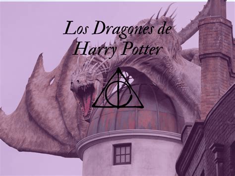 An Lisis Completo De Todos Los Dragones De Harry Potter