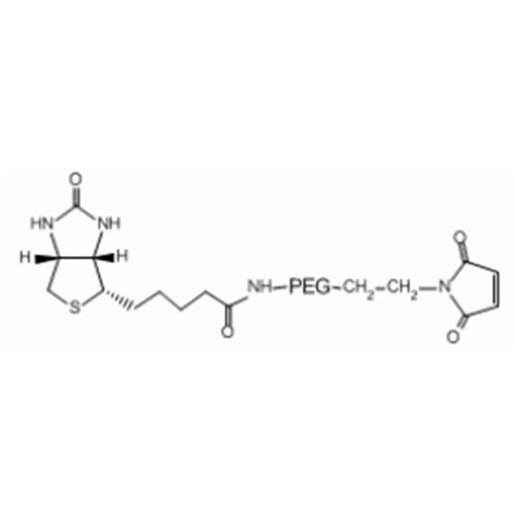 Maleimide Peg Biotin，biotin Peg Mal 不同大小的分子量决定不同性状 哔哩哔哩