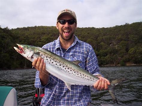 Mackerel Spotted Lure Fishing Records DECKEE Community