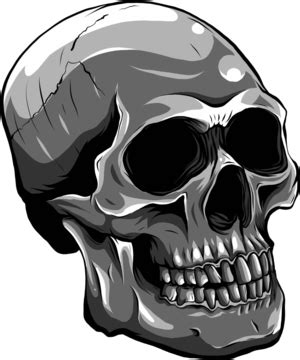 Realistic Red Skull In Monochromatic Style Vector Illustration Suitable