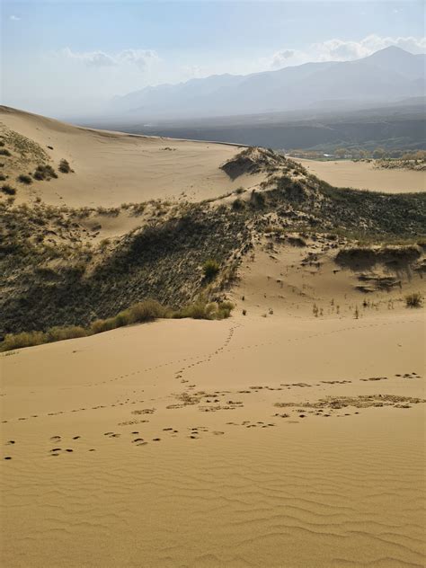 Desert Sand Under Clear Sky · Free Stock Photo