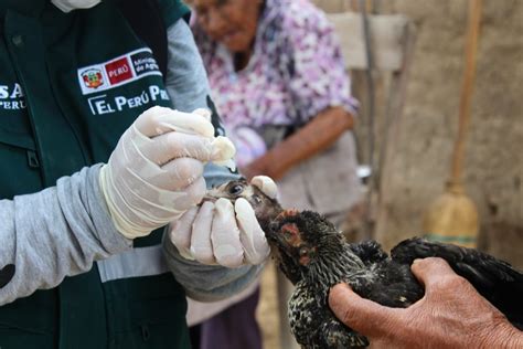 Campa A Gratuita De Vacunaci N Beneficia A M S De Mil Peque Os