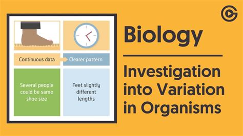 Investigation Into Variation In Organisms Gcse Biology Youtube