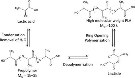 Polylactic Acid Monomer