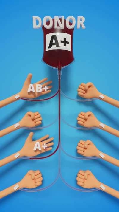 Blood Group Compatibility From Donors To Recipients Int