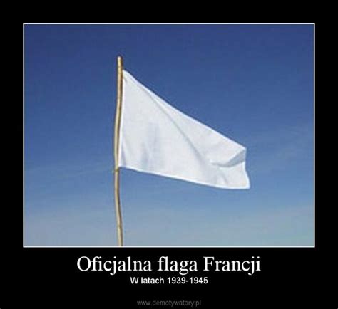 Oficjalna flaga Francji – Demotywatory.pl