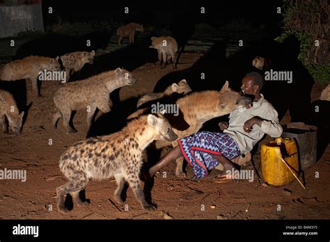 Hiena man fotografías e imágenes de alta resolución Alamy