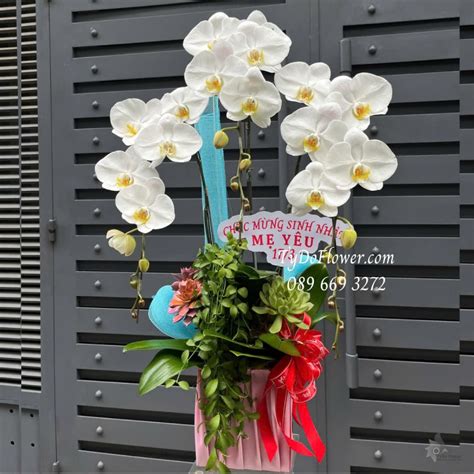 tydo flower cua hang hoa tuoi  vap  chau  canh lan ho