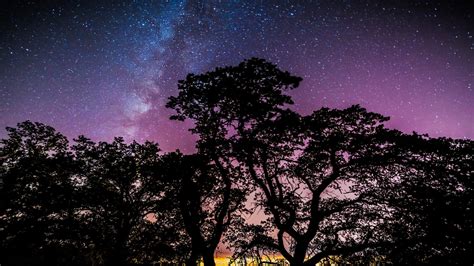 Fondos De Pantalla Rboles Noche Galaxia Naturaleza Cielo