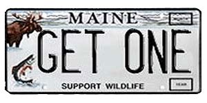 Maine Sportsman Plate: Support Wildlife: Wildlife: Fish & Wildlife ...