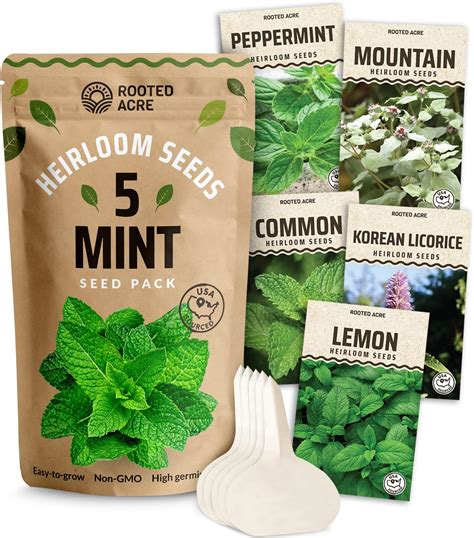 Rooted Acre 5 Mint Seeds Variety Pack 500 Non Gmo