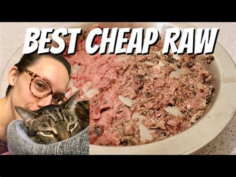 Best Raw Cat Food Delivery - Jess Caticles