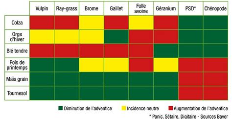 Exemples De Rotation Des Cultures