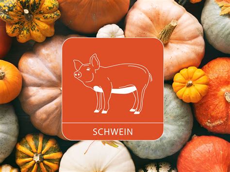 Das chinesische Monatshoroskop für November 2023 Sternzeichen Schwein