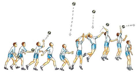 Tipos De Saque - Saque en el Voleibol: El Tipos de Saque en el Voleibol | Dicas Educação ...