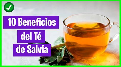 Beneficios Del T De Salvia Para La Salud Youtube