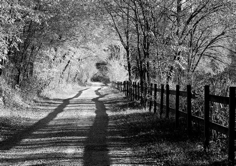 Country Road Black and White Photograph by Anne Barkley