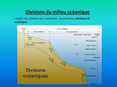 Divisions du milieu océanique