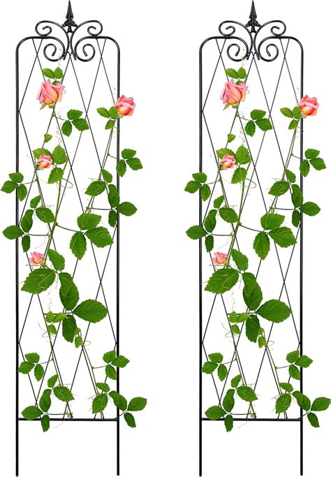 Amazon SCENDOR 2 Pack 71 H X15 W Trellis Black Garden Trellis