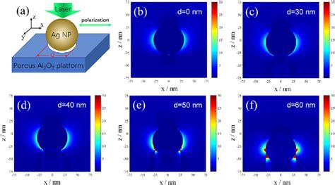 A Simplified Model And 3D FDTD Simulated Local Electromagnetic Field