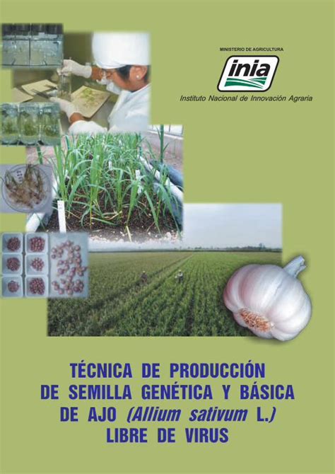 Pdf T Cnica De Producci N De Semilla Gen Tica Y B Sica Repositorio