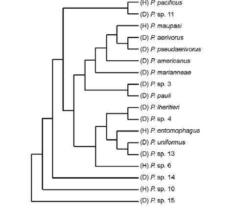 Reproductive Mode Variation In Pristionchus Nematodes Phylogeny