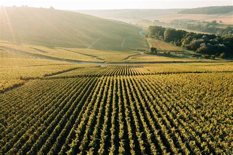 Champagne Wine Region | Wine Enthusiast