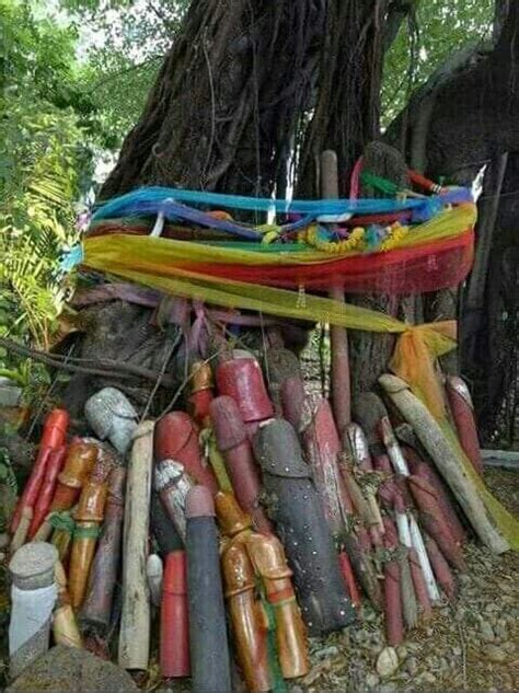 Pin by Kanishka Kadd on යන අත Amazing nature photos Nature photos Nude art