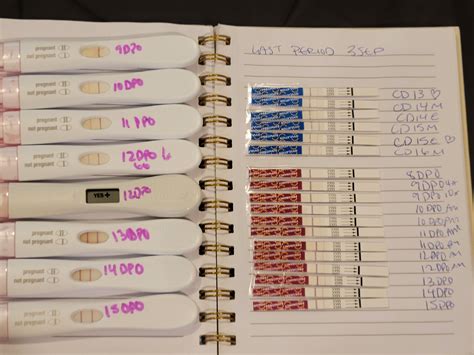 15 DPO, FRER and Pregmate. Good progression but been cramping really