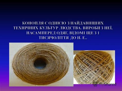 Презентация на тему: "ЛЛЯНІ ВОЛОКНА. Льон довгунець - основна прядивна ...