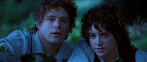 Sam & Frodo - Samwise Gamgee Photo (11353457) - Fanpop