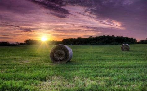 nature, Landscape, Sunset, Sky, Grass Wallpapers HD / Desktop and ...