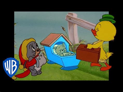 About Tom And Jerry Characters - Infoupdate.org